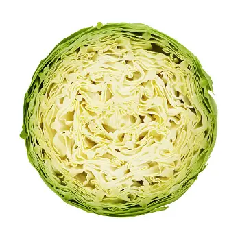 cabbage (6)-1595741-92691.webp